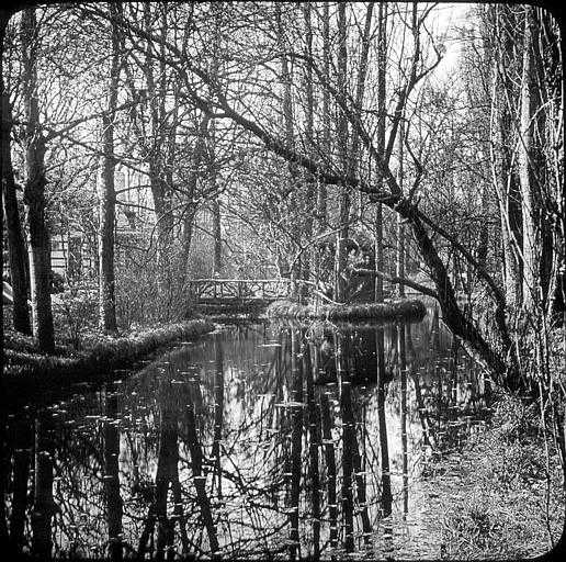 Petites rivières, Le Vésinet - photographe Jean Jablonski
